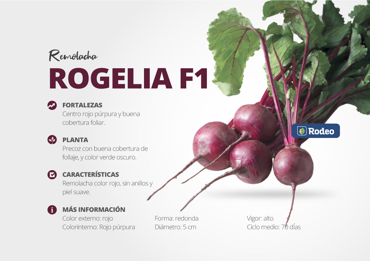 Semillas De Remolacha Rogelia F1(cajax30ux500g)rodeosemillas