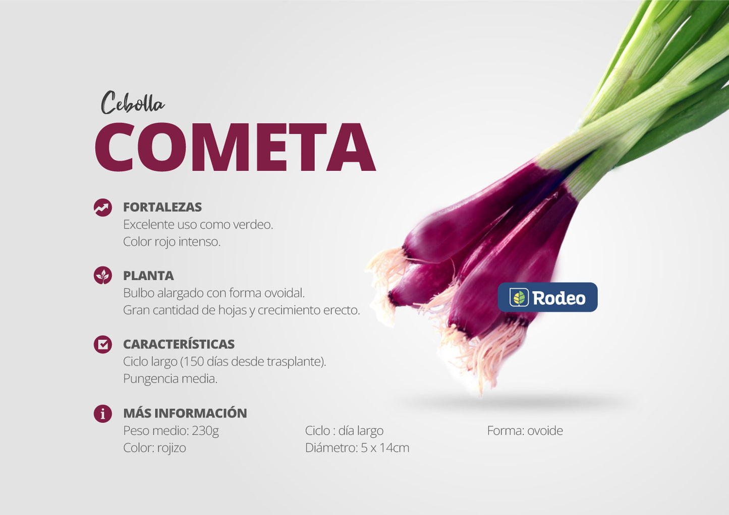 Semillas De Cebolla Verdeo Rojo Cometa 500g Rodeo Semillas