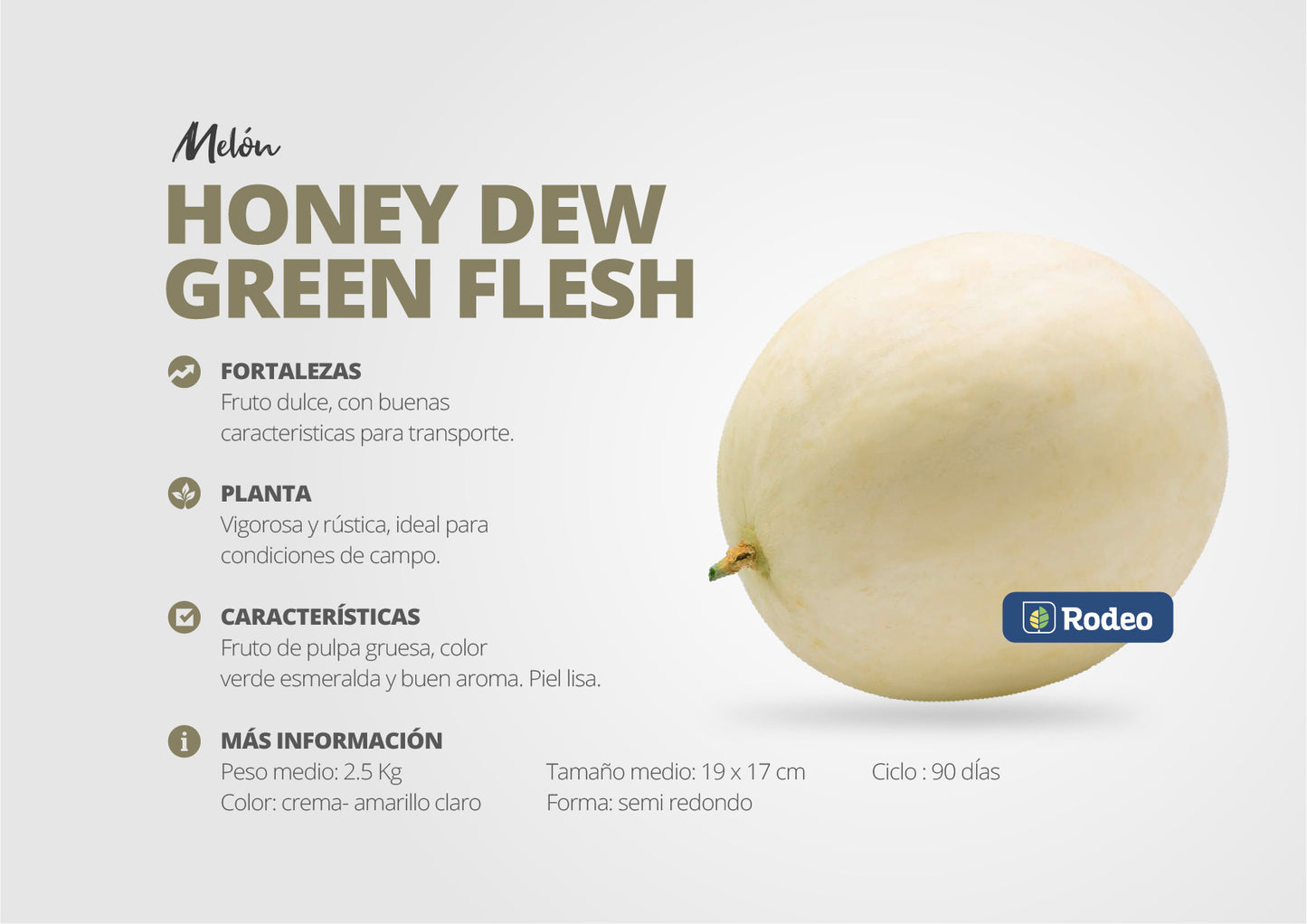 Semillas De Melón Honey Dew(pulpa Verde)x500g Rodeo Semillas