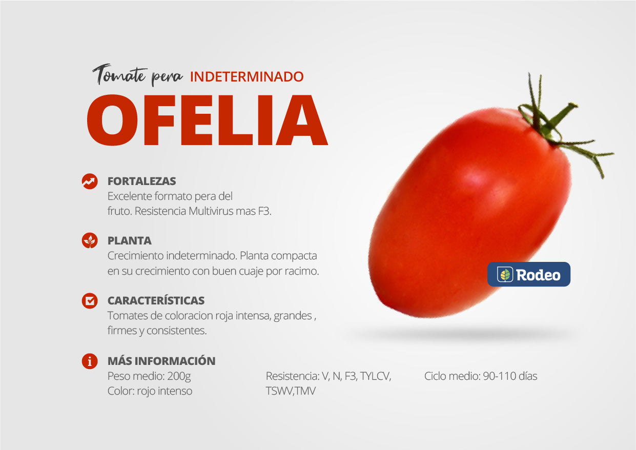 Semillas De Tomate Pera Ofelia F1 Ind.x1000sem Rodeosemillas