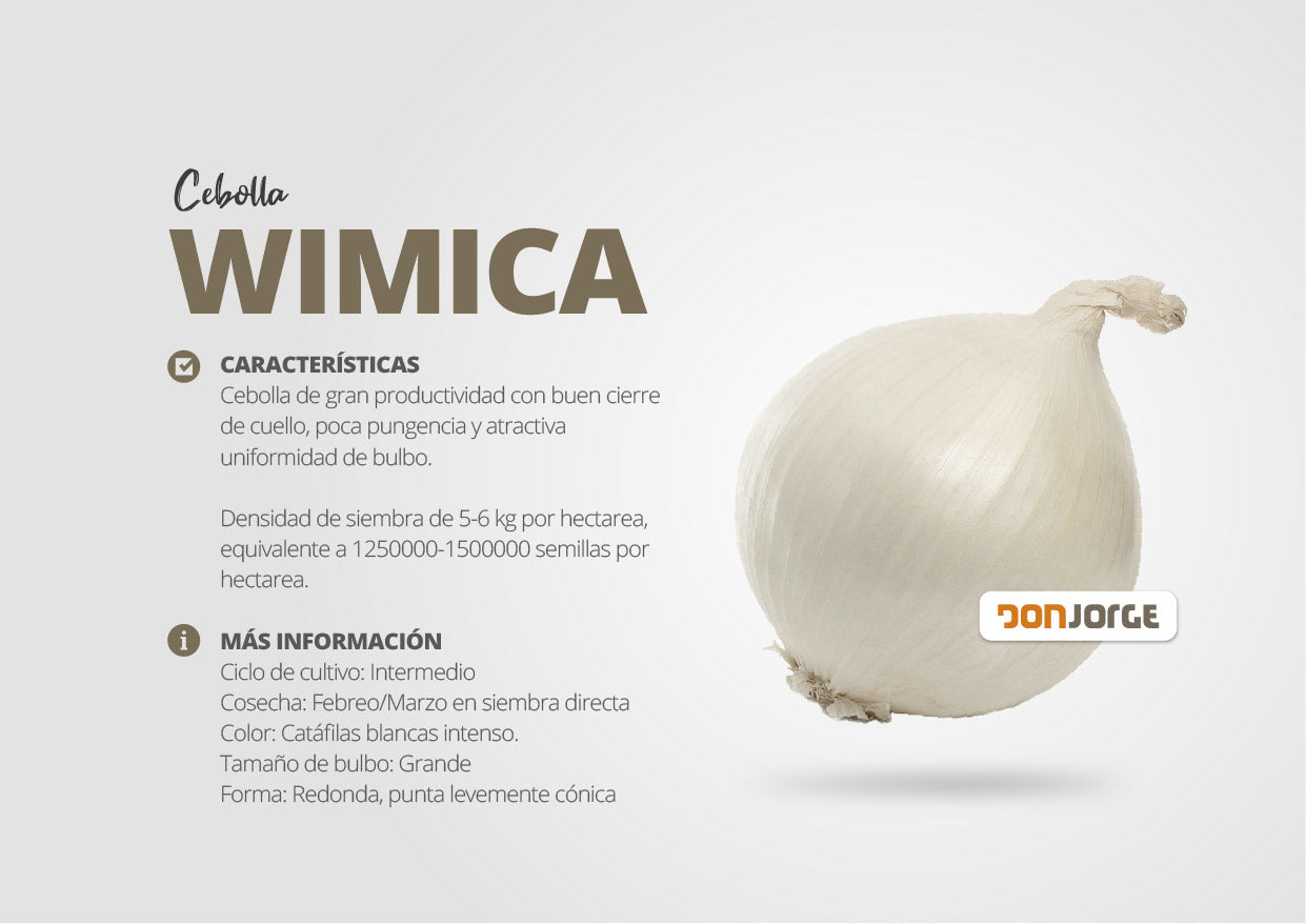 Semillas De Cebolla Blanca Wimica F1 Rodeo Semillas