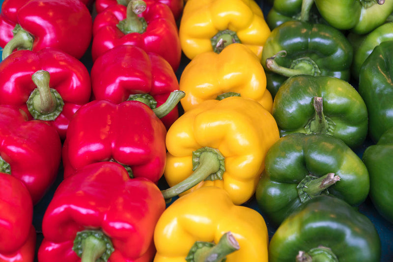 Pimiento