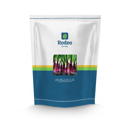 Cebolla Verdeo Cometa x1kg - Rodeo Semillas (paquete)