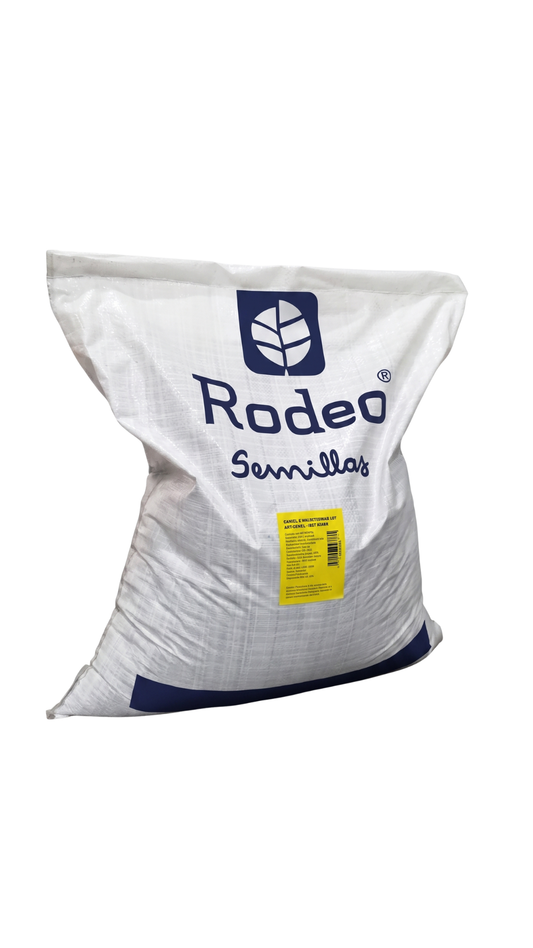 Semilla De Acelga Bianual X 20kg Don Jorge