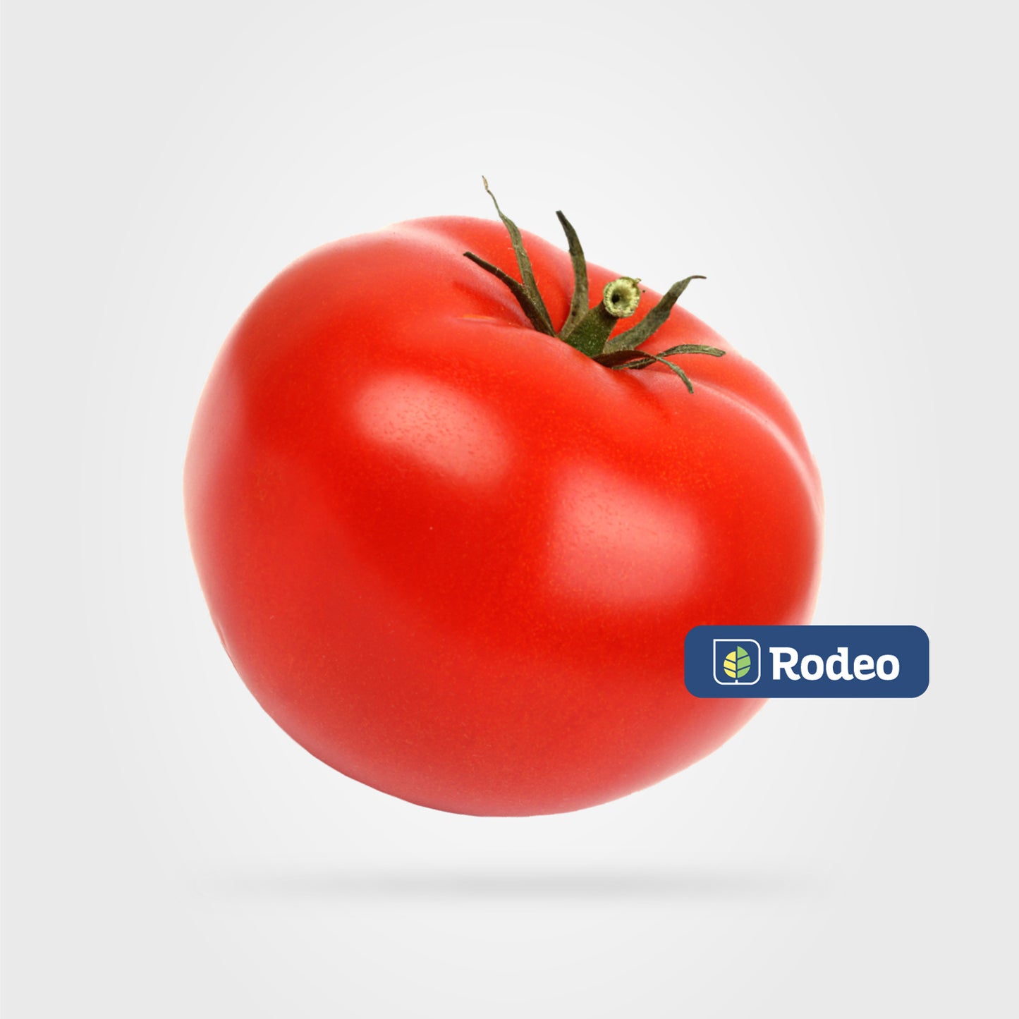 Semillas De Tomate Redondo Brolet F1 Det. Rodeo Semillas