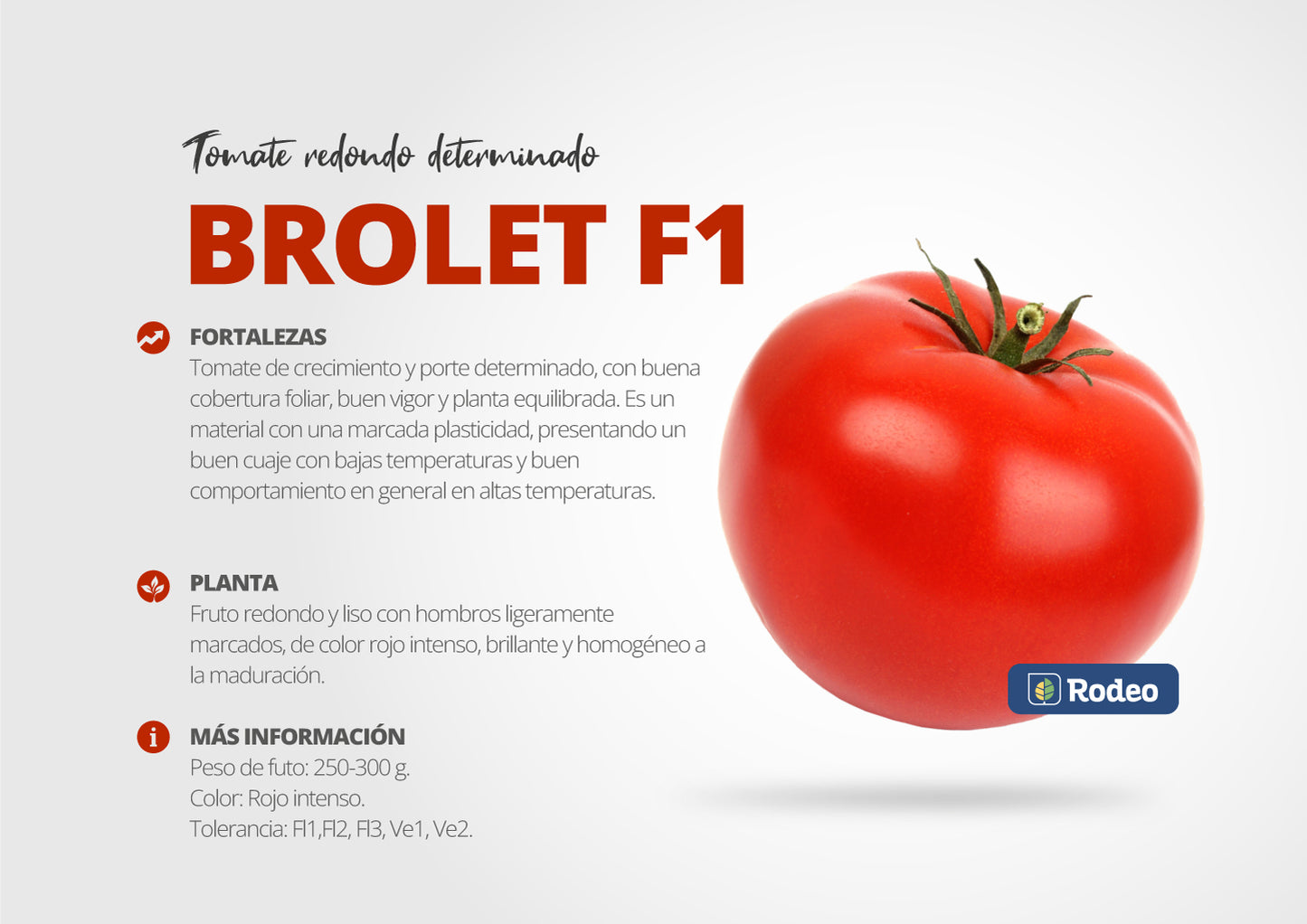 Semillas De Tomate Redondo Brolet F1 Det. Rodeo Semillas
