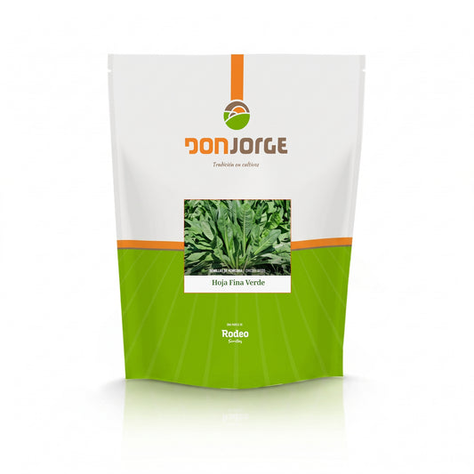 Semillas De Achicoria Hoja Fina Verde X 1 Kg Don Jorge