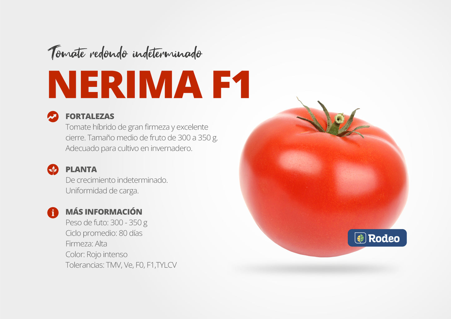 Semillas De Tomate Redondo Nerima F1 Indet. Rodeo Semillas