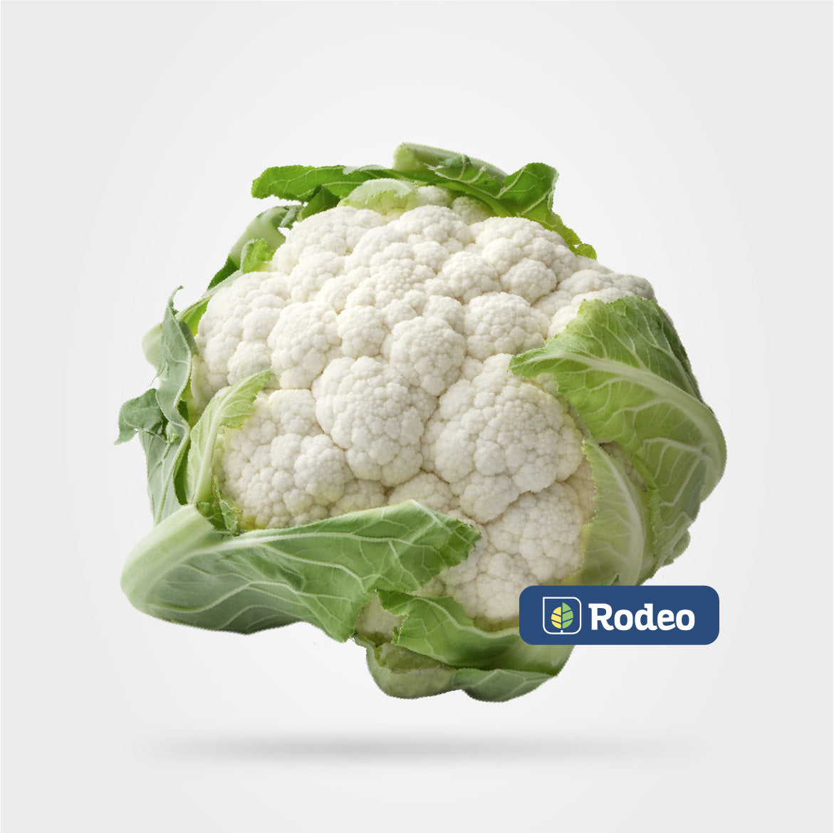 Semillas De Coliflor Beyaz 91 F1 X 1.000 Sem Rodeo Semillas