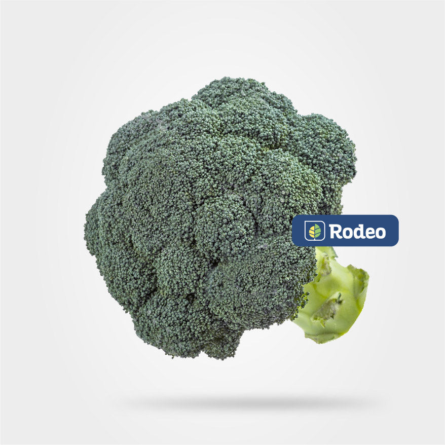 Semillas De Brócoli Andong F1 X 1.000 Sem Rodeo Semillas