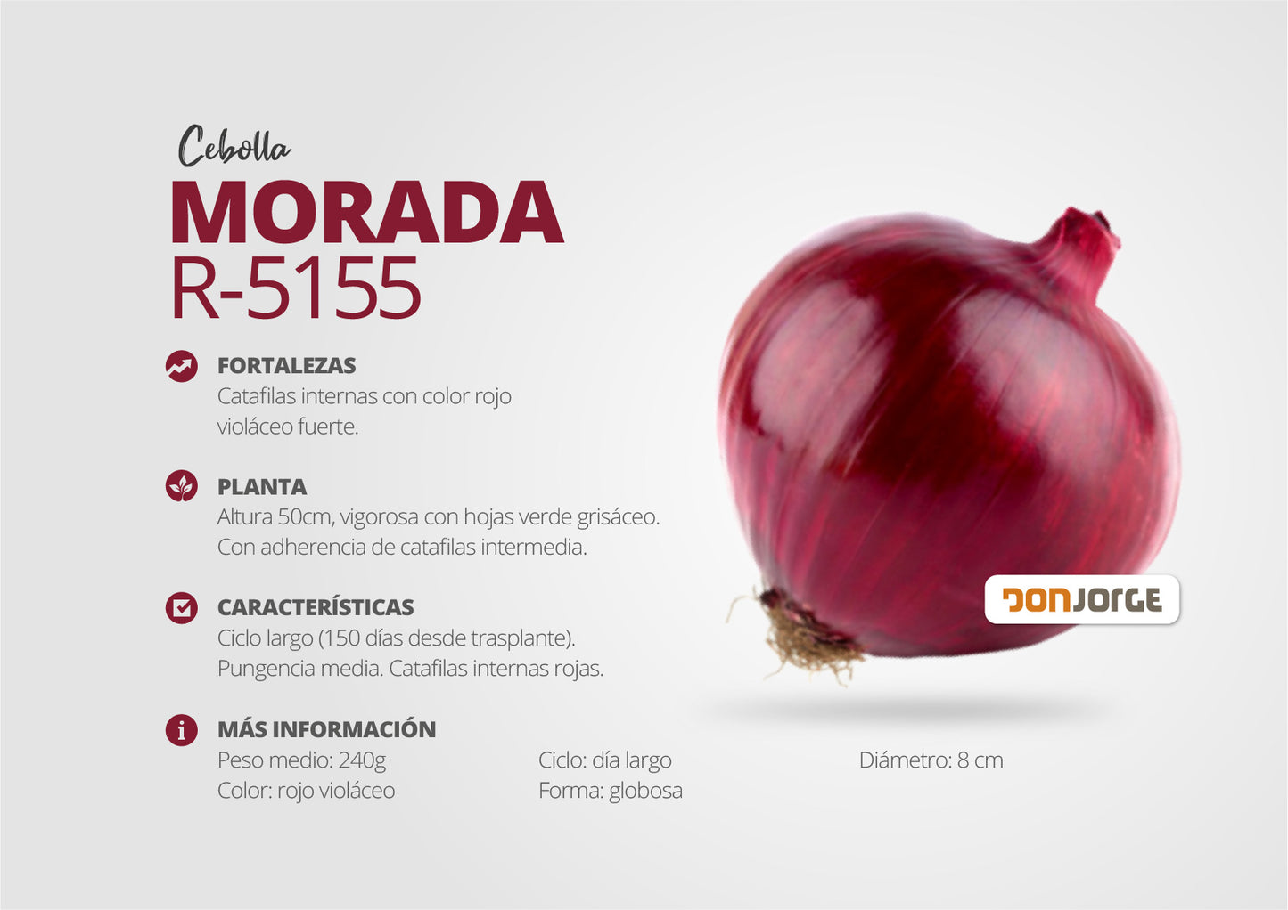 Semillas De Cebolla Morada R5155 X 6kg Don Jorge