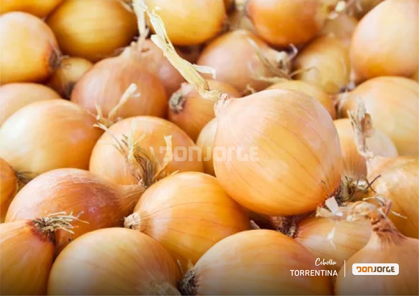 Semillas De Cebolla Navideña X 6kg(cal 2.5) Don Jorge