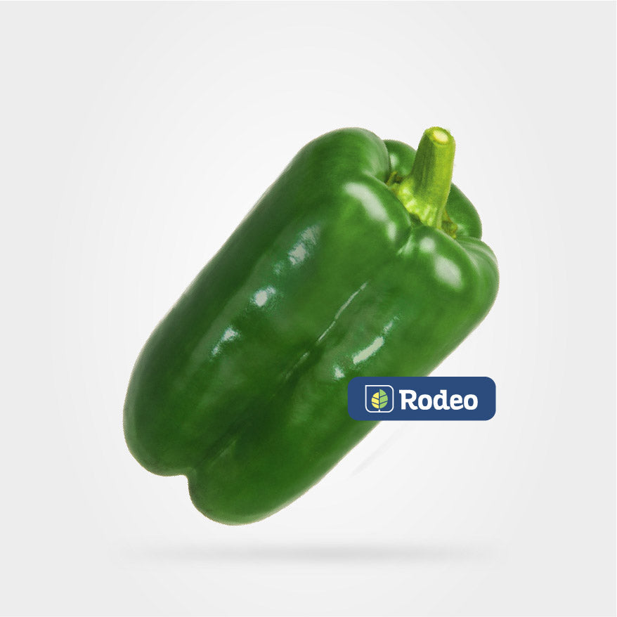 Semillas De Pimiento Lamuyo Benjamín x1000 sem Rodeo Semillas