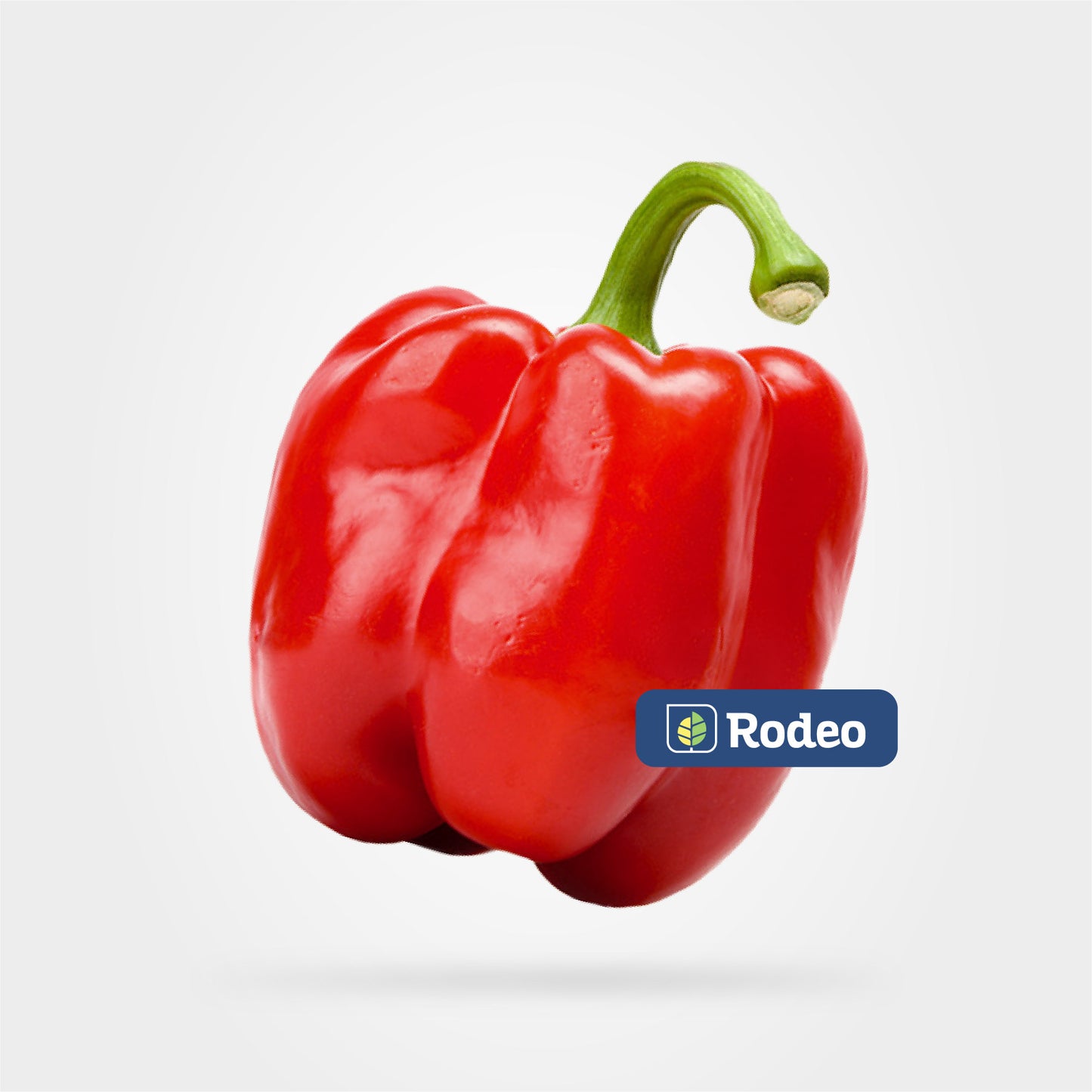 Semillas De Pimiento Blocky Yarará F1 Rodeo Semillas