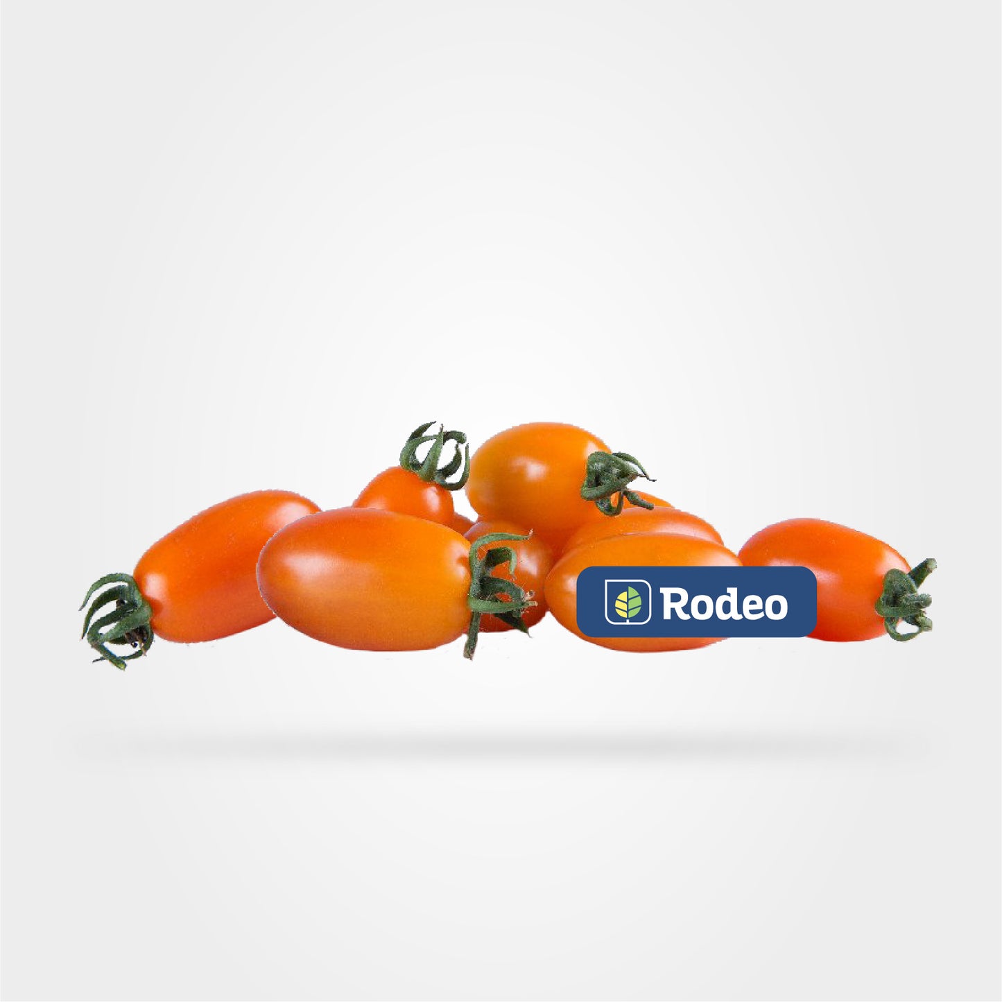 Semillas De Tomate Cherry Oroma F1 x 1000 sem (naranja) Indet. Rodeo Semillas