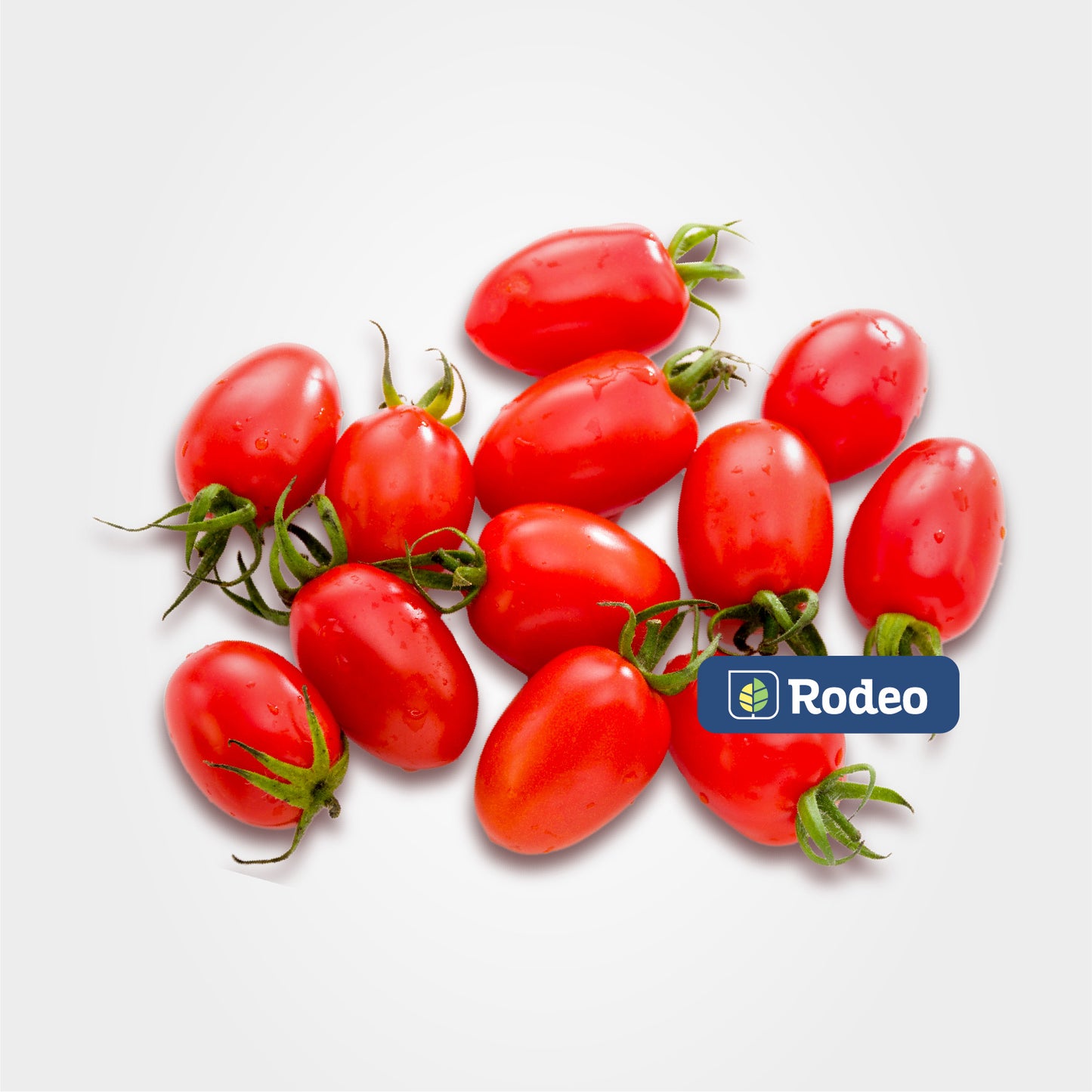 Semillas De Tomate Cherry Timoteo F1 Indet. x 1000 sem Rodeo Semillas