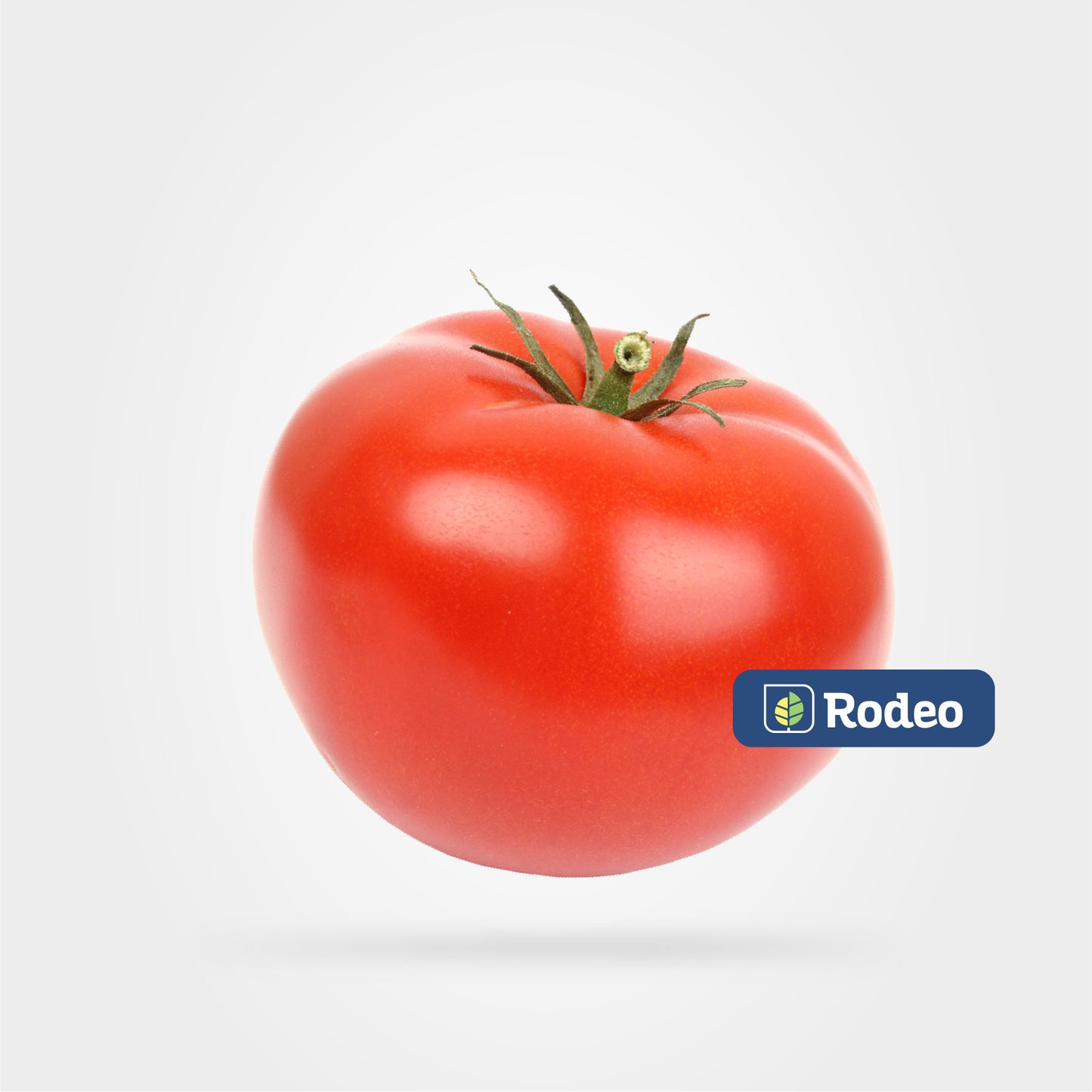 Semillas De Tomate Redondo Nerima F1 Indet. Rodeo Semillas