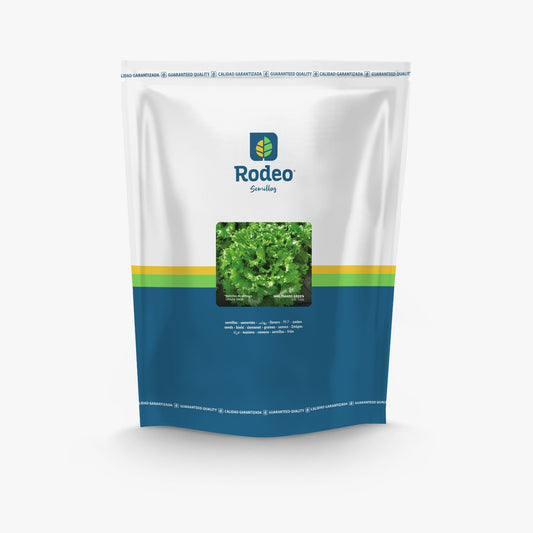 Semillas Lechuga Crespa Waldman S Green Rodeo Semillas X500g
