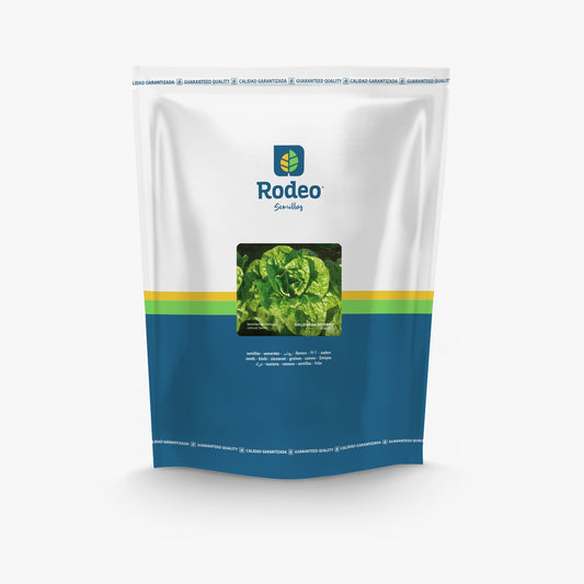 Semillas De Lechuga Mant.gallega De Inv. Rodeosemillas X500g