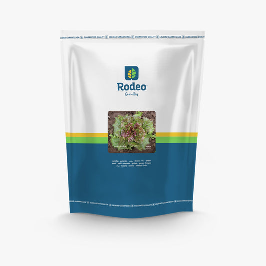 Semillas De Lechuga Mantecosa Rossia Prim/Verano x 500 g Rodeo Semillas