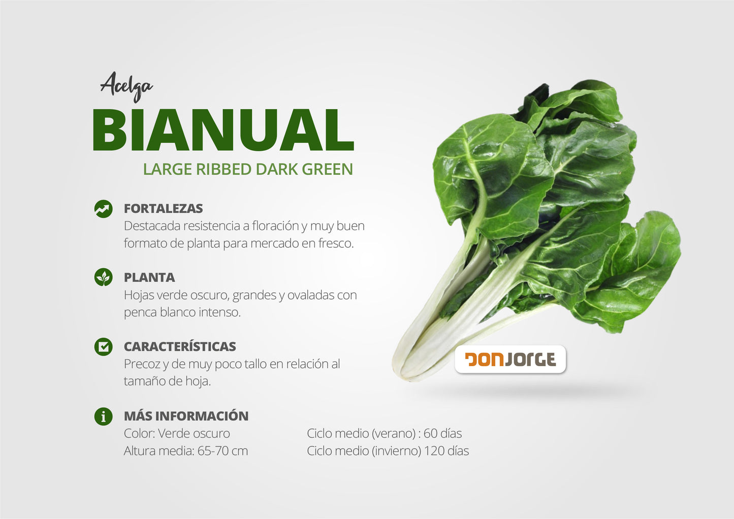 Semilla De Acelga Bianual X 20kg Don Jorge