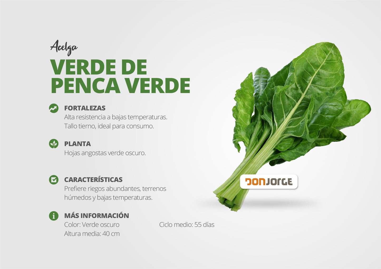 Semilla De Acelga Penca Verde X 30kg Don Jorge
