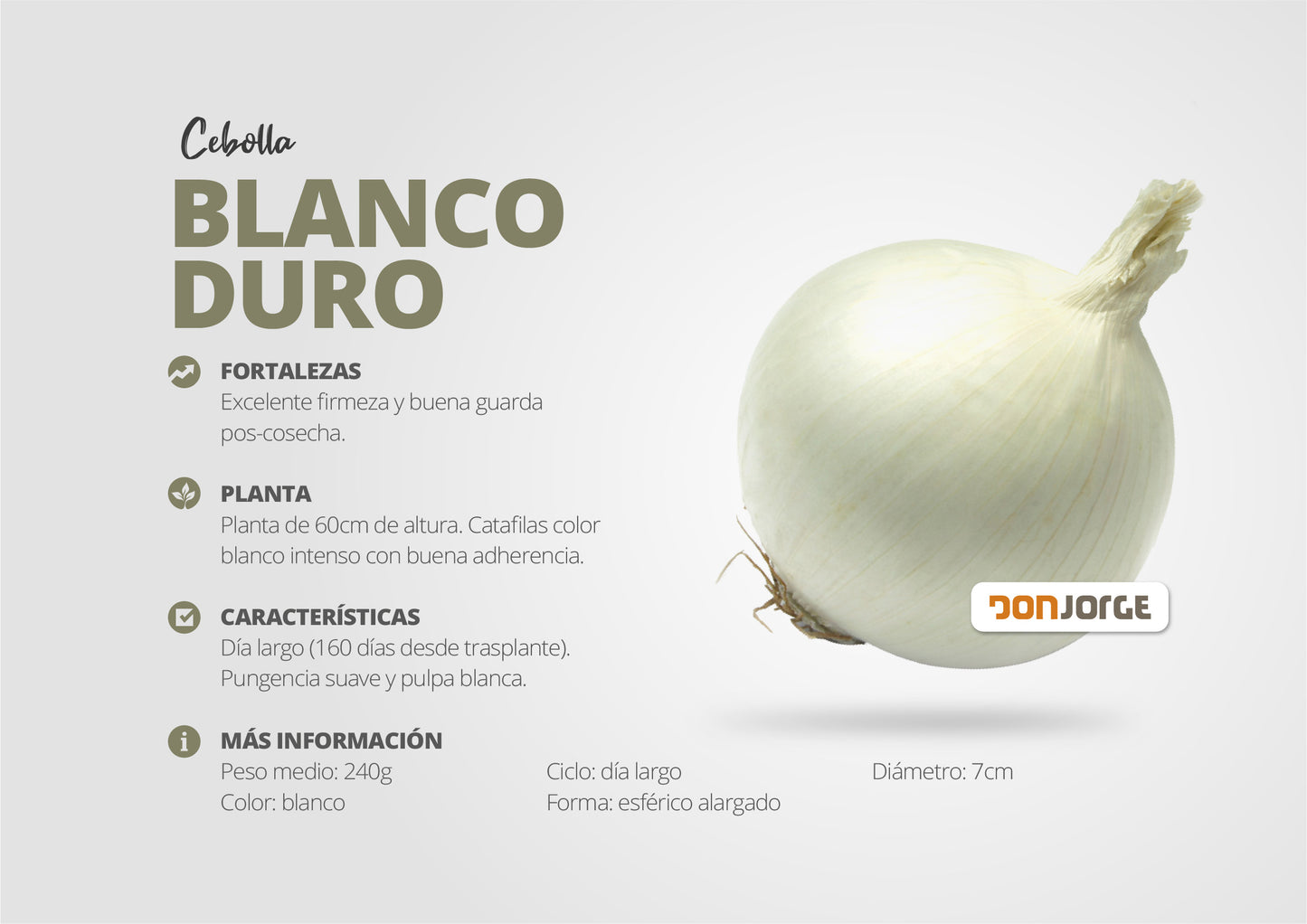 Semillas De Cebolla Blanco Duro Ciclo Largo Rodeo Semillas