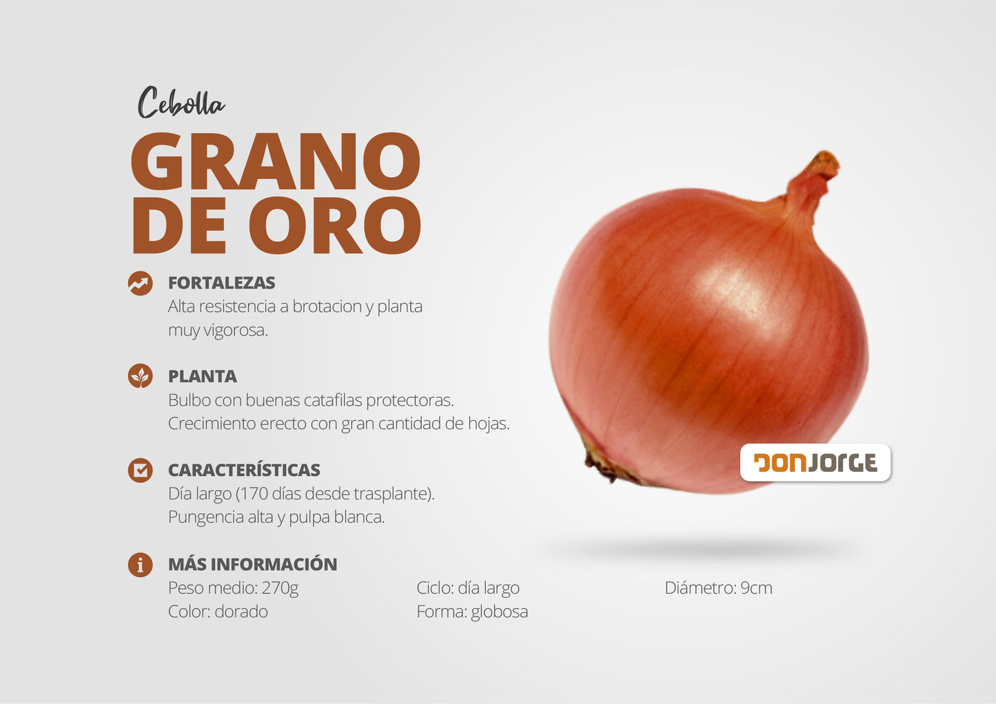 Semillas De Cebolla Grano De Oro X 6kg (cal2.5) Don Jorge