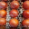 Semillas De Cebolla Grano De Oro X 6kg (cal2.5) Don Jorge