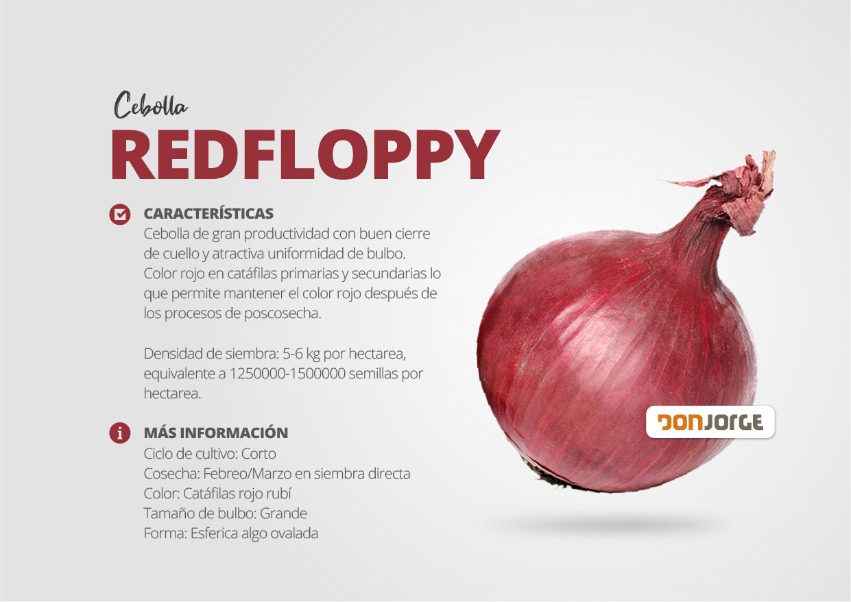 Semillas De Cebolla Roja Red Floppy X 1 Kg Rodeo Semillas