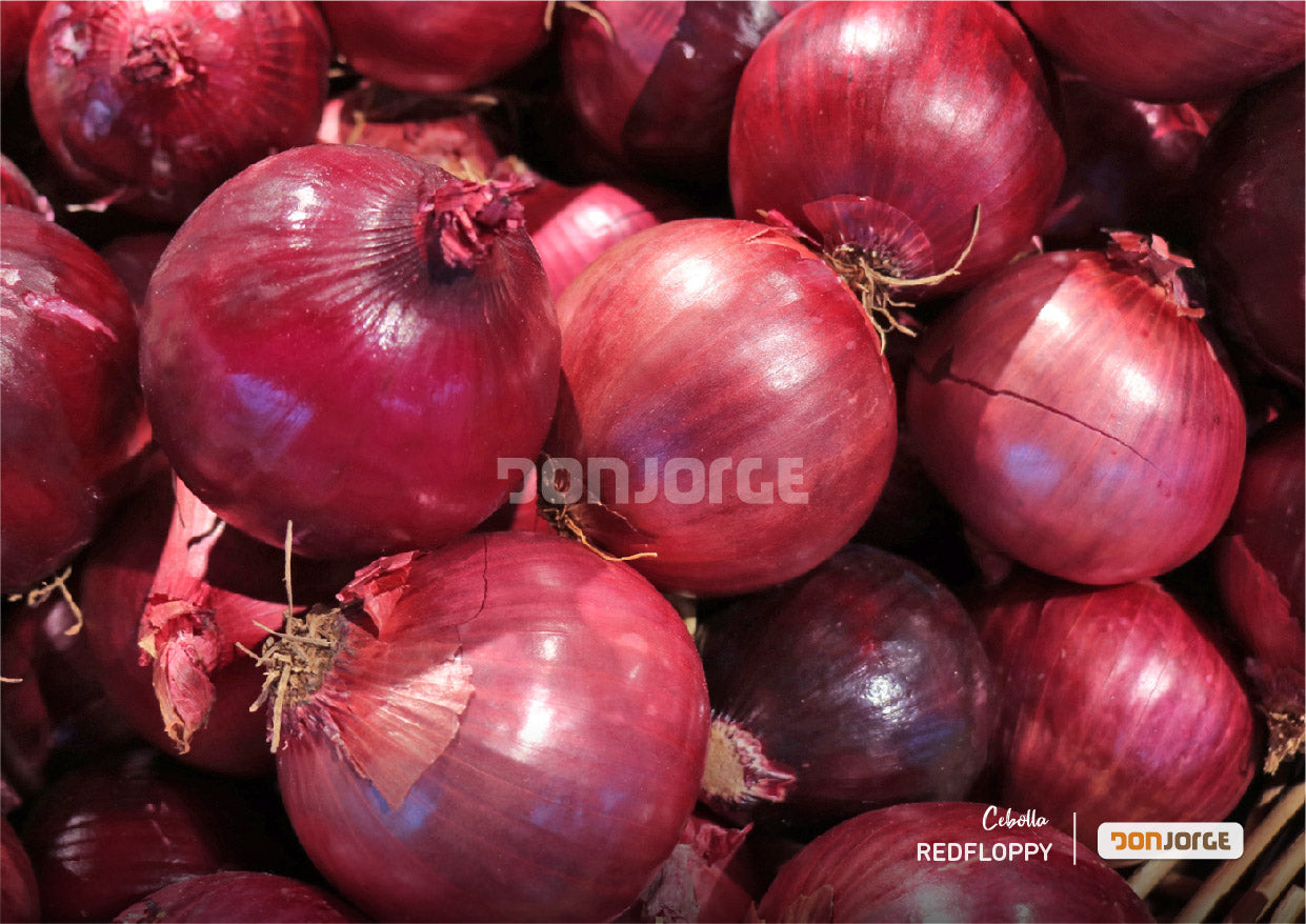 Semillas De Cebolla Roja Red Floppy X 1 Kg Rodeo Semillas