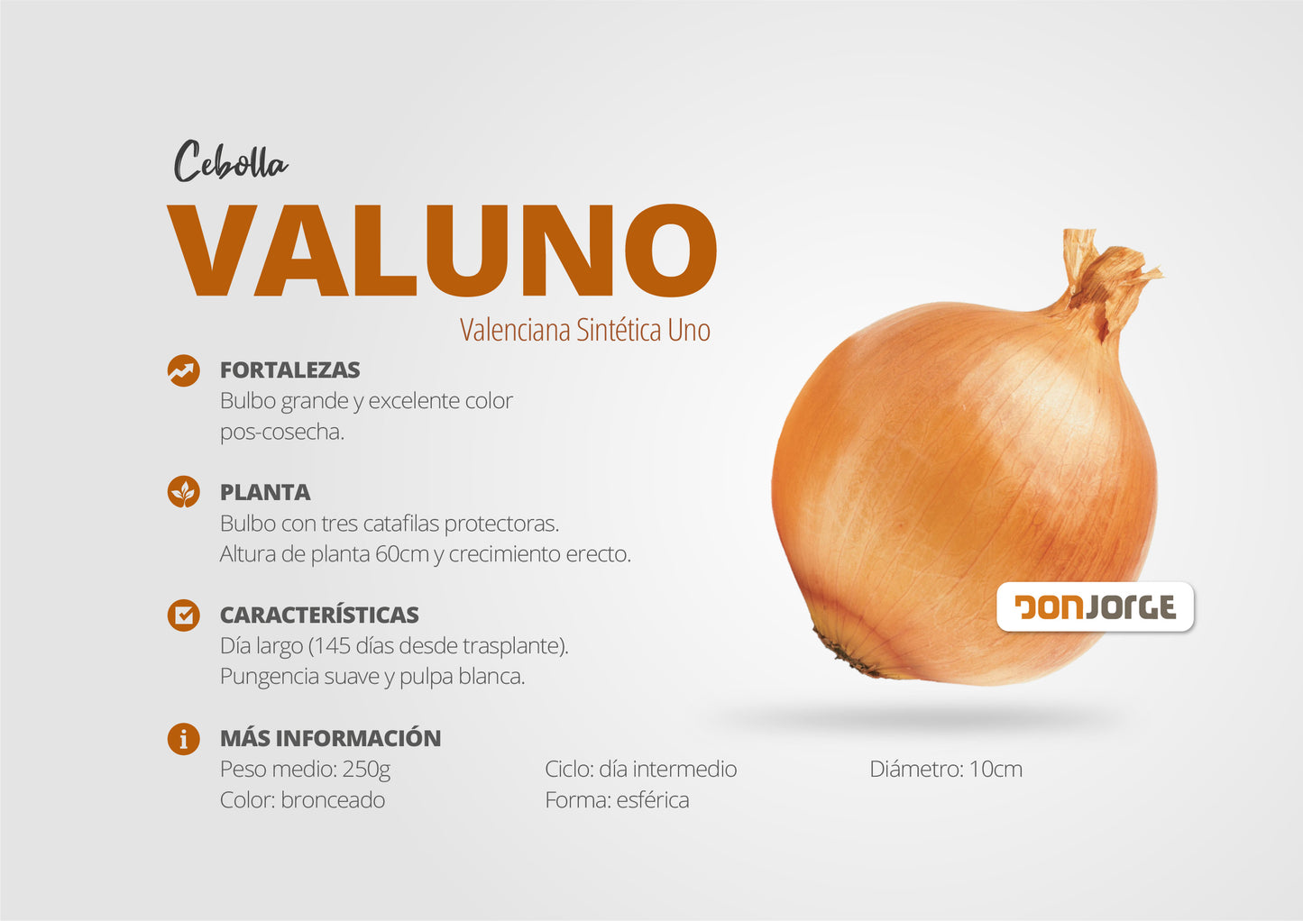 Semillas De Cebolla Valuno X 6kg (cal 2.5) Don Jorge