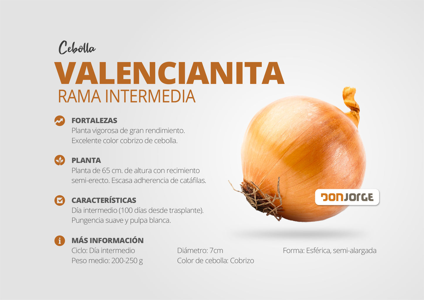 Semillas De Cebolla Rama Intermedia X 6kg Don Jorge