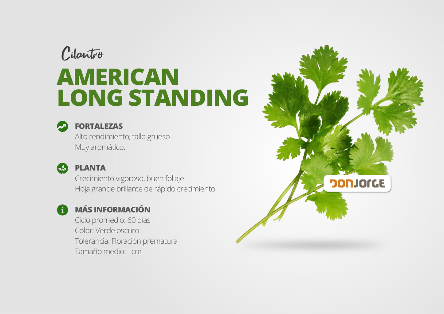 Semillas De Cilantro American Long Standing X 1kg Don Jorge