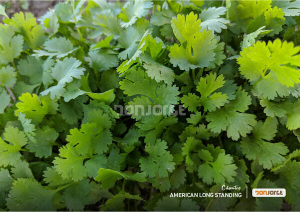 Equilibrio 1kg | 18-18-18 | Nutrición Completa