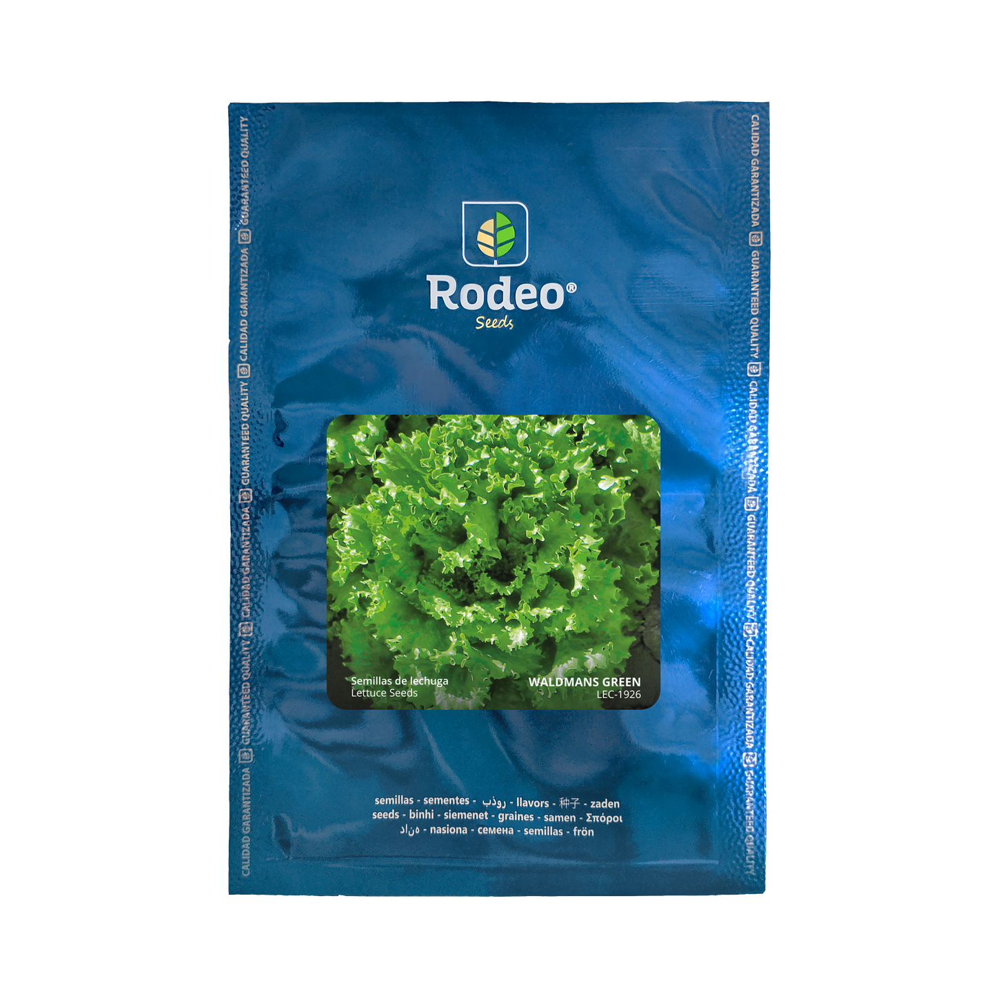 Lechuga crespa Waldman's Green - Rodeo Semillas (paquete)