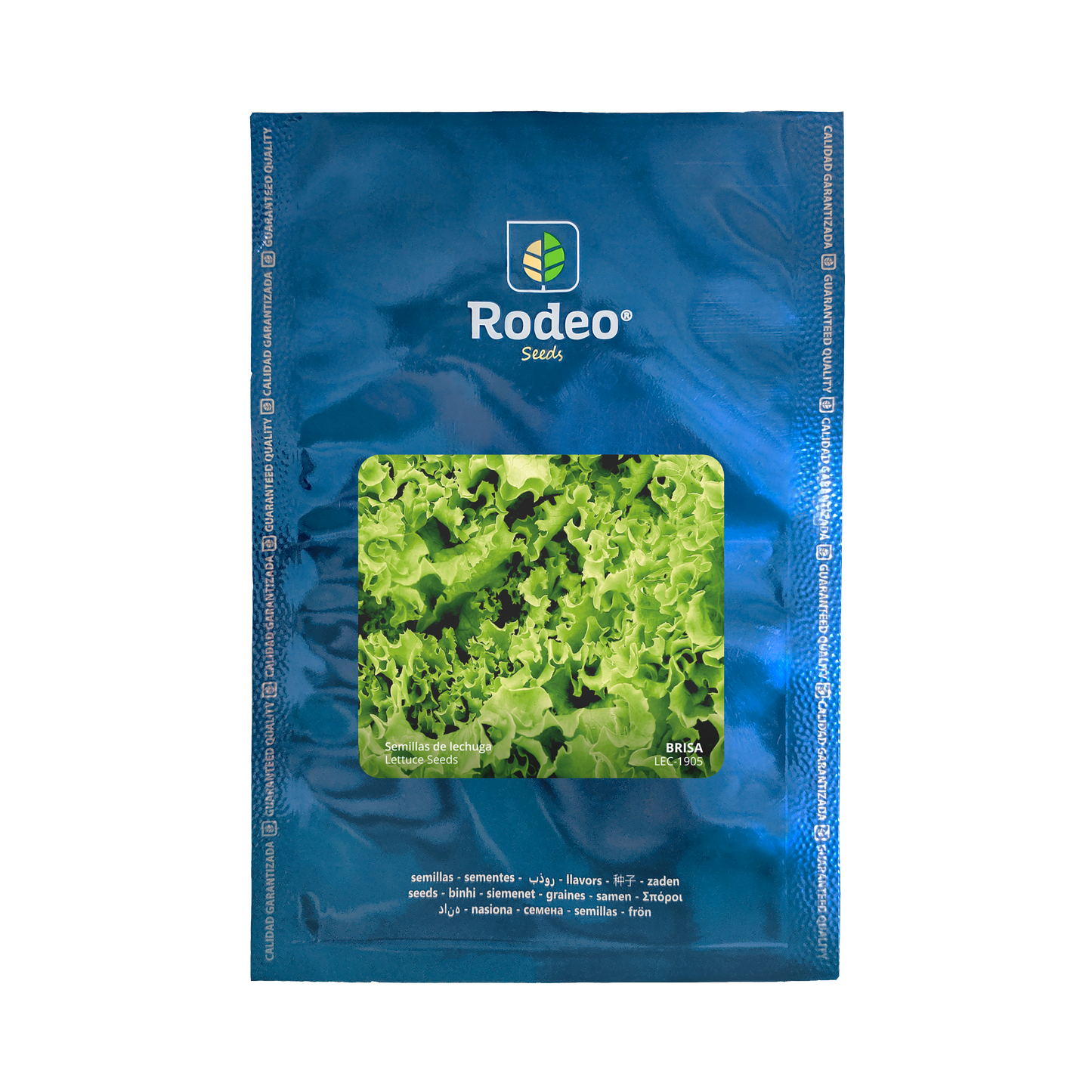 Lechuga crespa Brisa - Rodeo Semillas (paquete)