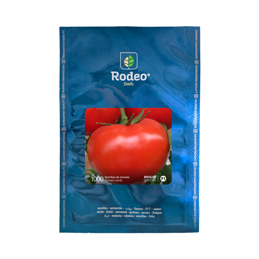 Tomate Redondo Brolet F1 - Rodeo Semillas (paquete)