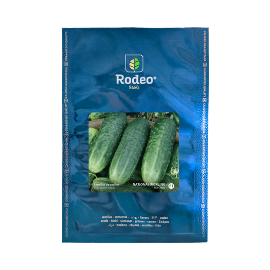 Pepino National Pickling F1 - Rodeo Semillas (paquete)