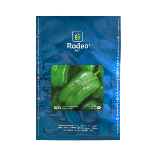 Pimiento Lamuyo Tadeo F1 - Rodeo Semillas (paquete)