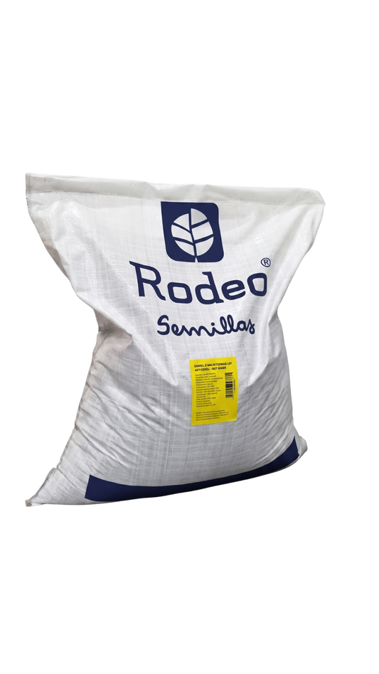Acelga Penca Verde x30kg - Rodeo Semillas (bolsón)