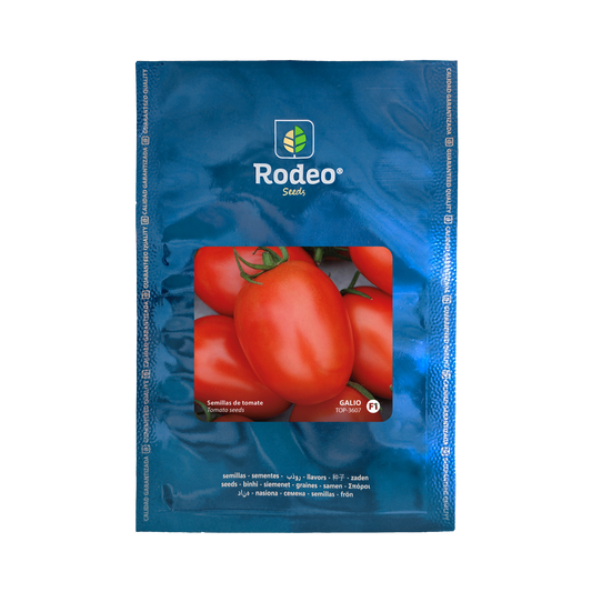 Tomate Pera Galio F1 - Rodeo Semillas (paquete)