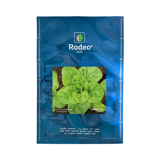 Lechuga mantecosa Crimor Inta - Rodeo Semillas (paquete)