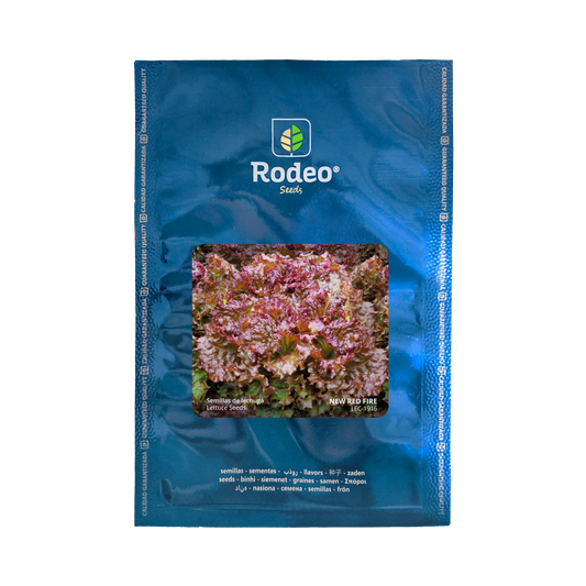 Lechuga crespa New Red Fire - Rodeo Semillas (paquete)