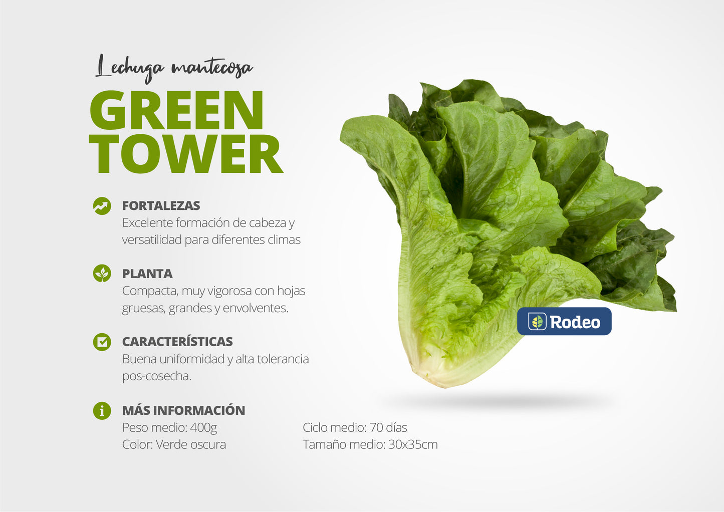 Semillas De Lechuga Mant. Green Tower X 100g Rodeo Semillas