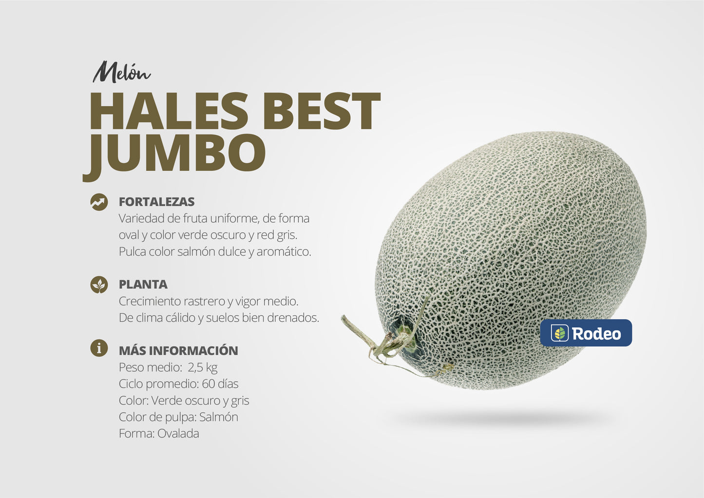 Semillas De Melón Hales Best Jumbo (escrito) X 1 Lb Rodeo Semillas