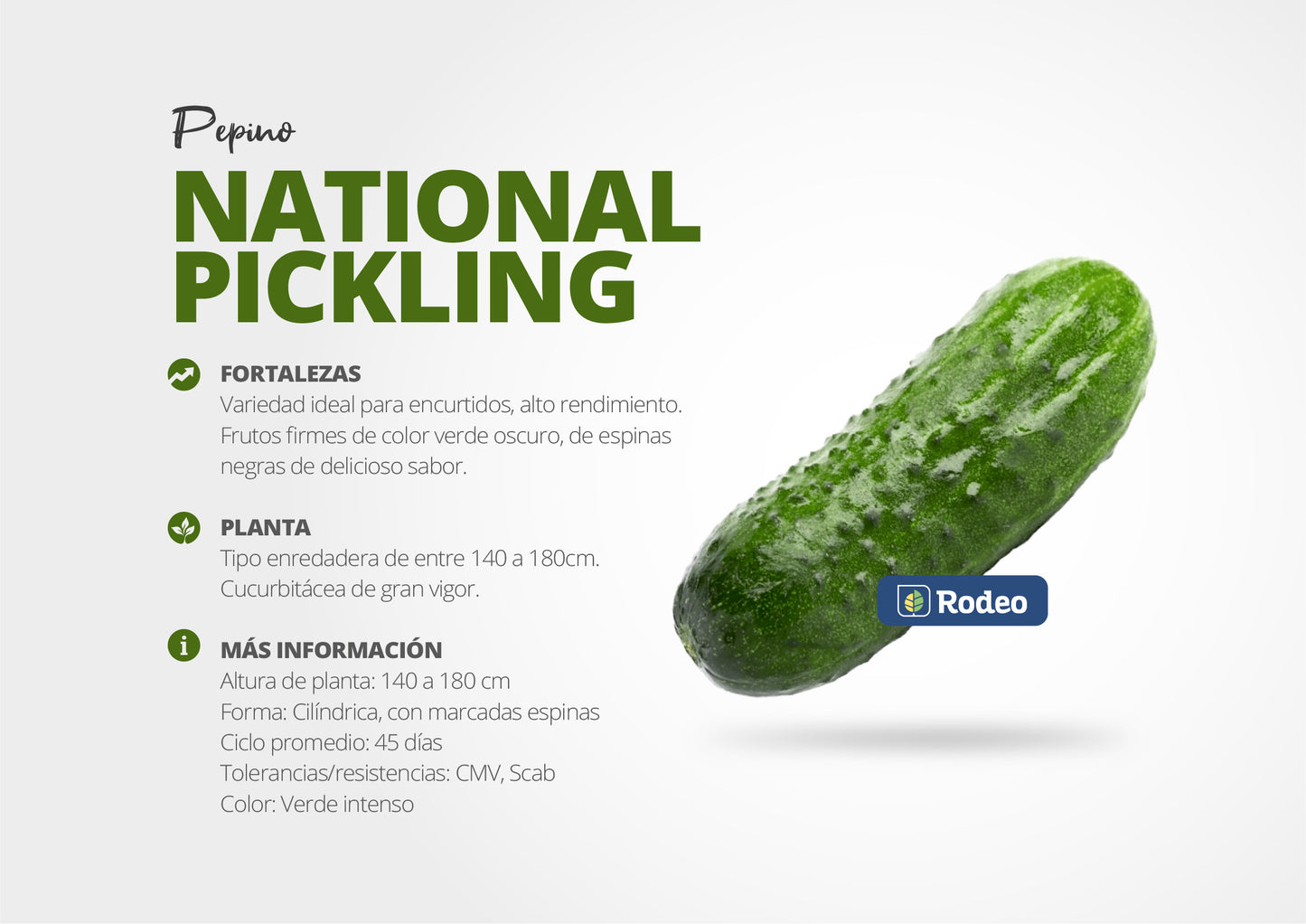 Semillas De Pepino National Pickling X 100 G Rodeo Semillas