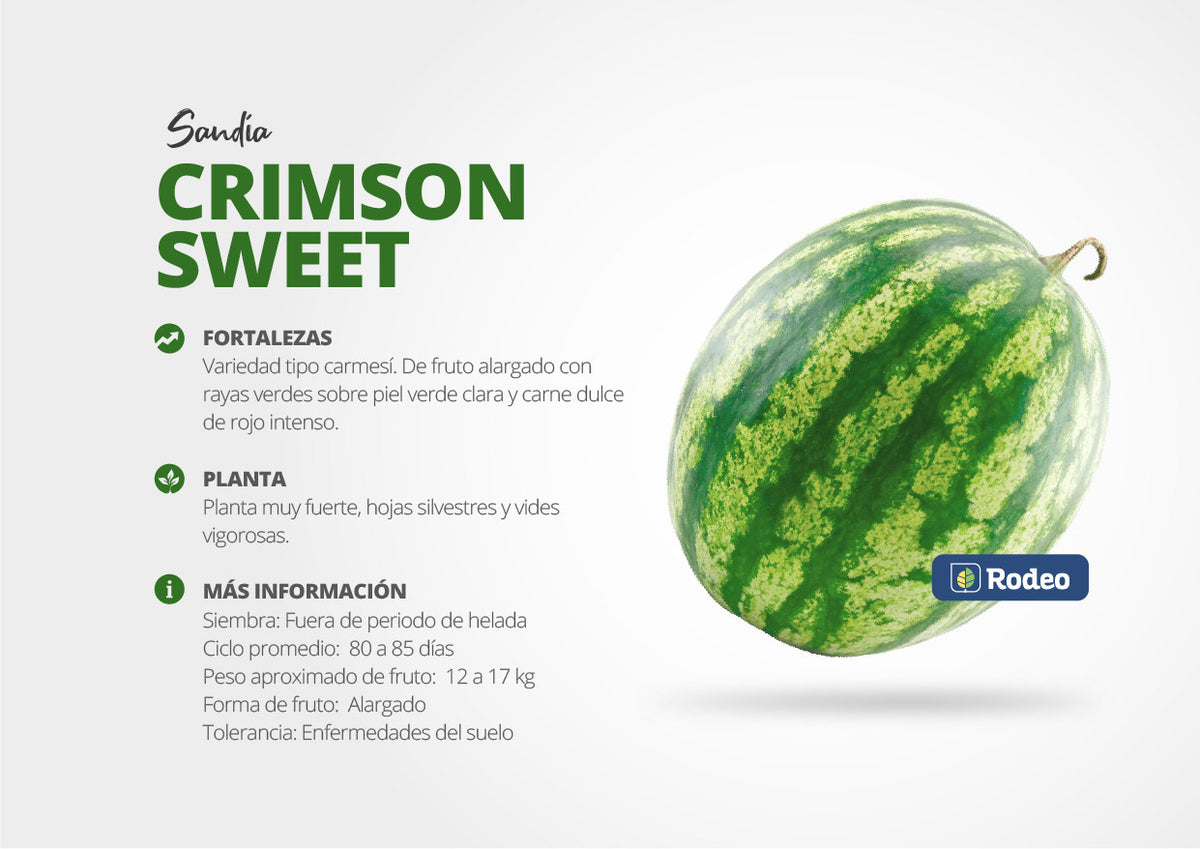 Sandía Crimson Sweet x 500 g