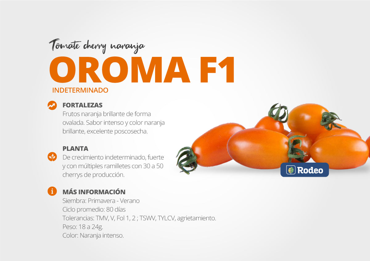 Semillas De Tomate Cherry Oroma F1 x 1000 sem (naranja) Indet. Rodeo Semillas