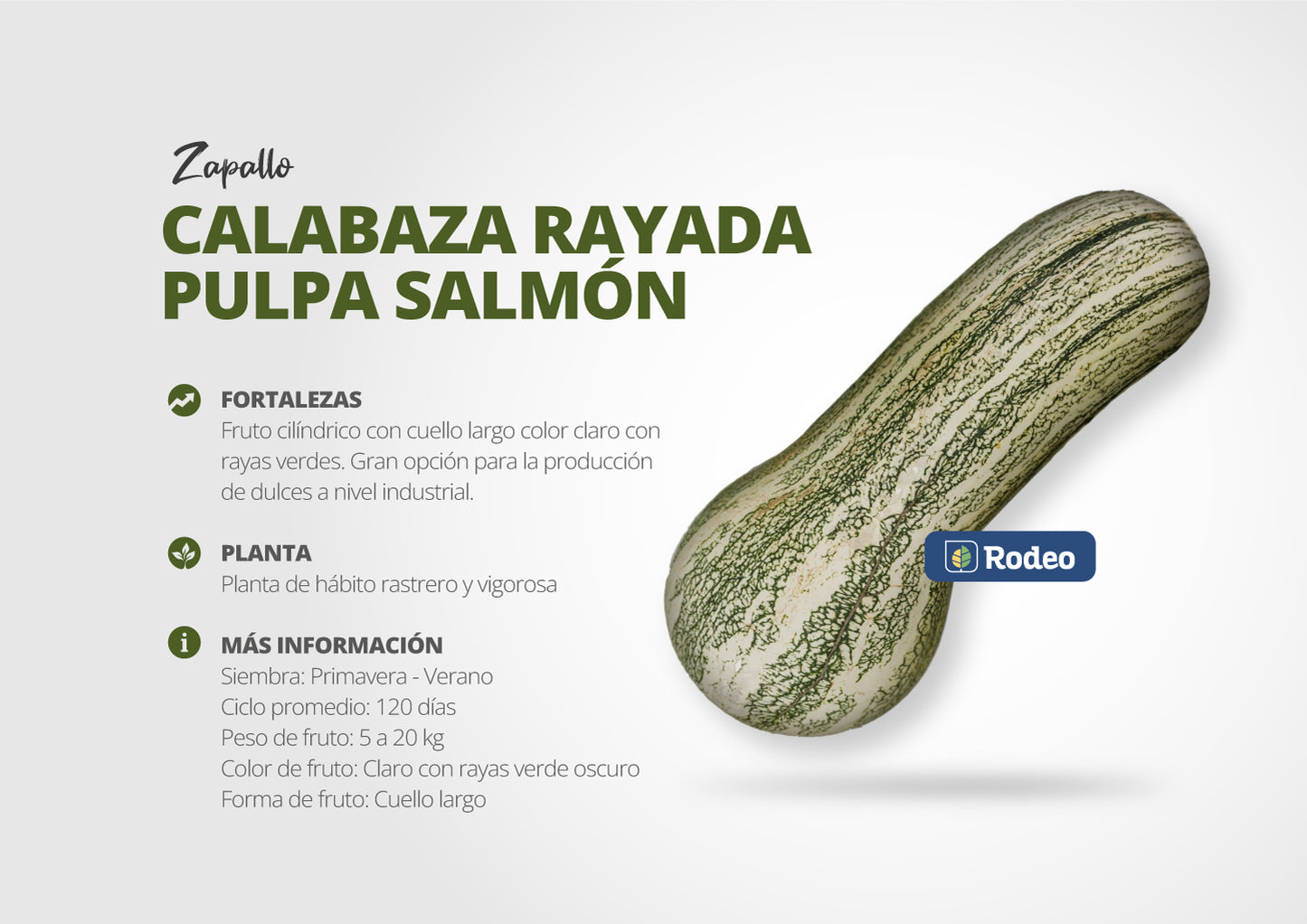 Semillas De Zapallo Calab. Rayada Pulpa Salmón x 1kg Don Jorge